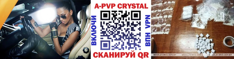 A-PVP СК КРИС  Купить где  Терек 