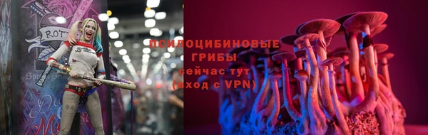 спиды Алексин