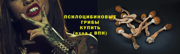 спиды Алексин
