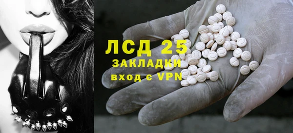 сатива Алзамай